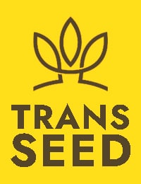Trans - Seed