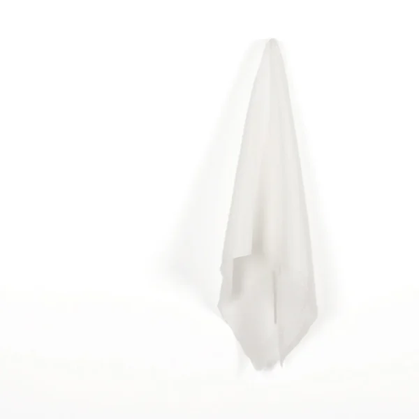 Crinkle Tissue Silk - White - Image 2